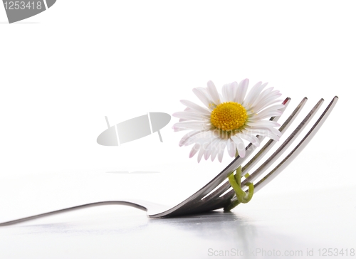 Image of flower and fork