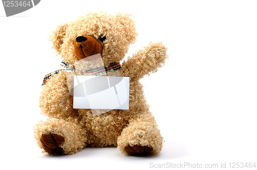 Image of isolated teddy with blank sheet