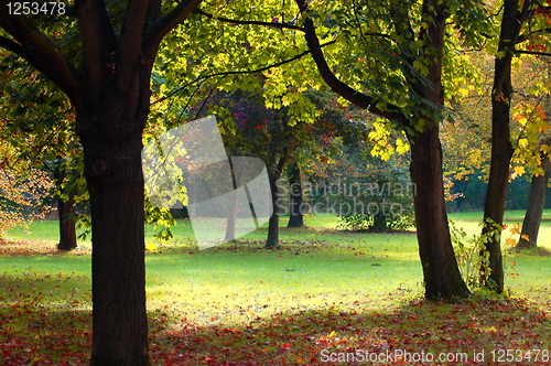 Image of fall in the park with green trees under blue sky