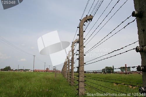 Image of Birkenau barbed wire