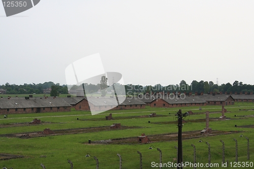 Image of Birkenau death camp