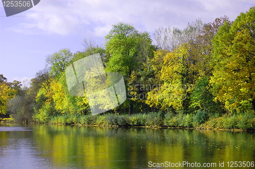 Image of autumnal forest un der blue sky