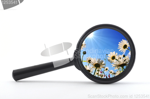 Image of magnifying glass and flower