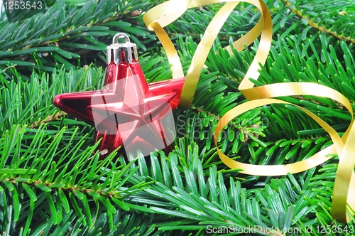 Image of christmas still life