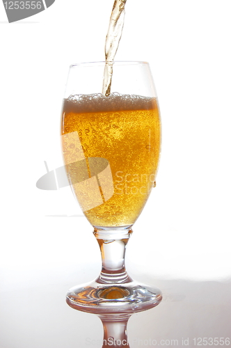 Image of beer