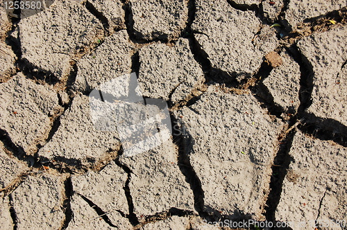 Image of dry soil