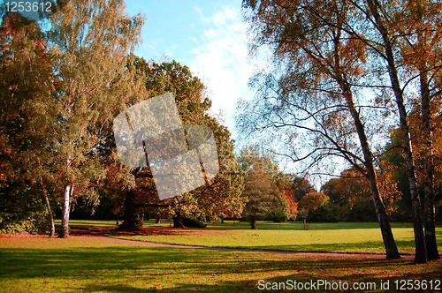 Image of fall in the park with green trees under blue sky