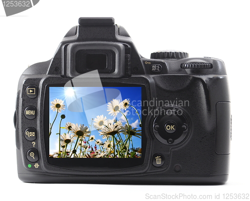 Image of holiday flower on camera