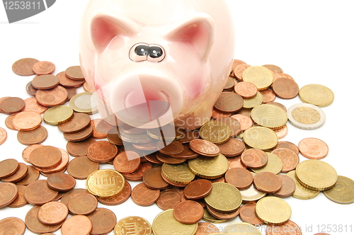 Image of piggy bank