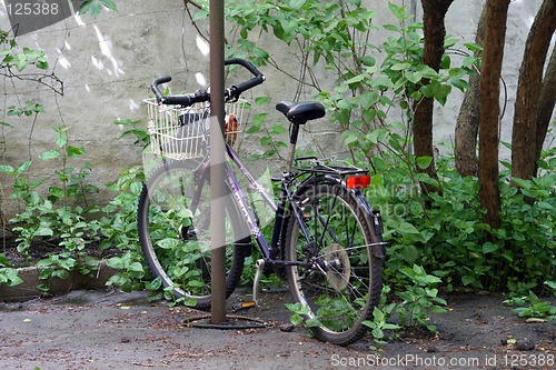 Image of Lonely bike