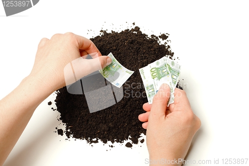 Image of Hand planting Euro banknotes