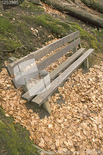 Image of wooden bench