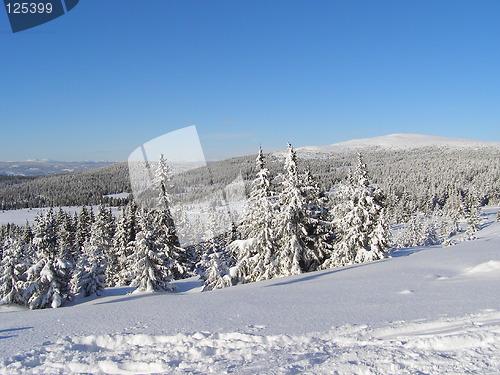 Image of View towards Nevelfjell