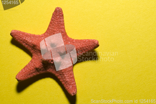 Image of five-finger star