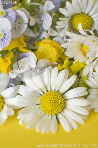 Image of flowers