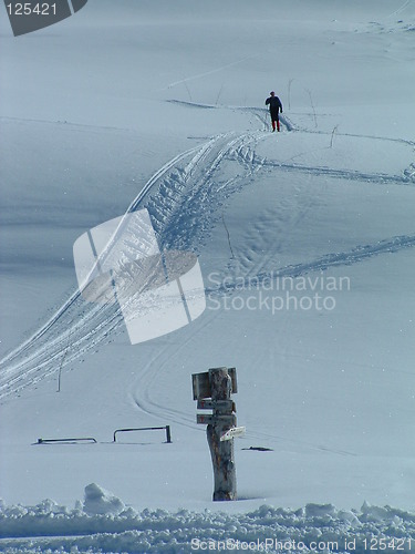 Image of Skiing