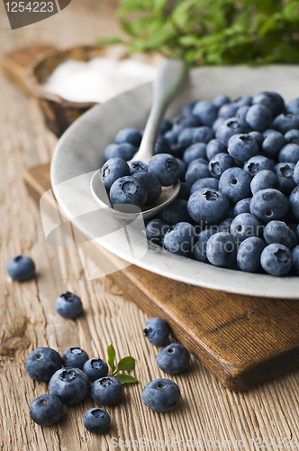 Image of Blueberries