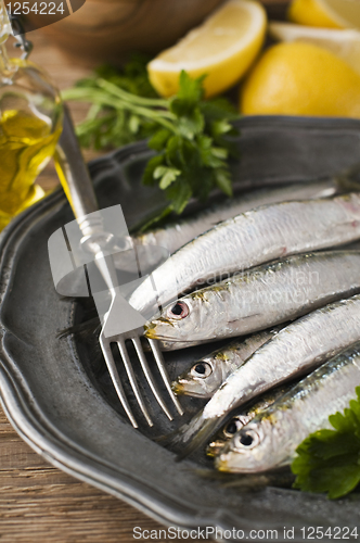 Image of Sardines