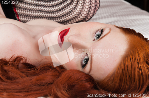 Image of Redhead