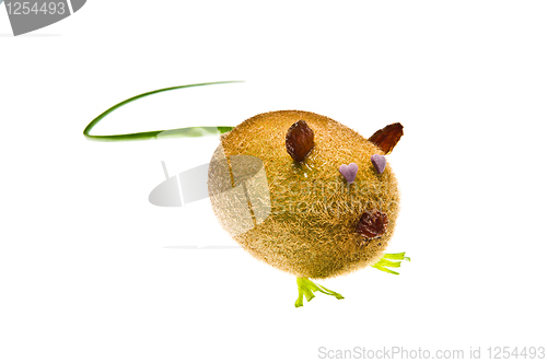 Image of Kiwi Mouse