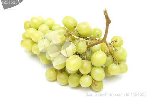 Image of Grapes