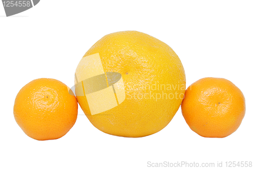 Image of Orange and mandarins