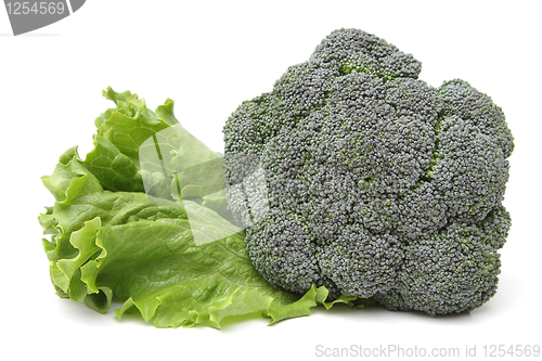 Image of Broccoli and lettuce