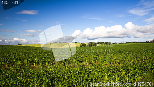 Image of Agriculture