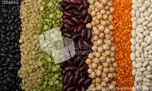 Image of mixed dried beans 