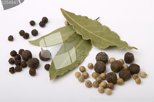 Image of pepper and bay leaves