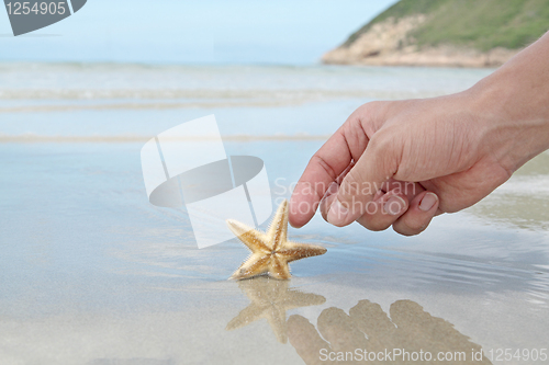 Image of hand touching the starfish