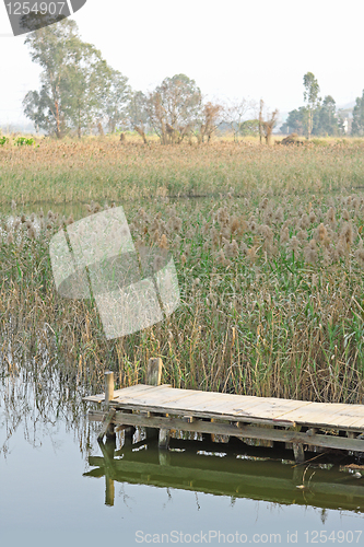 Image of Jetty on lake 