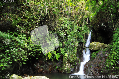 Image of Waterfall making its way into a pond in the rainforest 