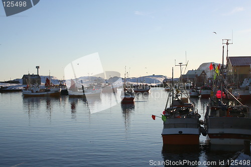 Image of Fishing boats waiting to deliver their catch