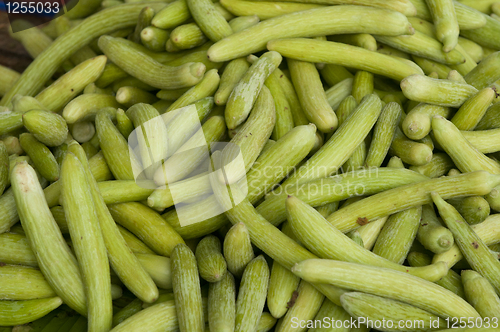 Image of Cucumber