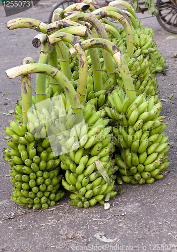 Image of Bananas