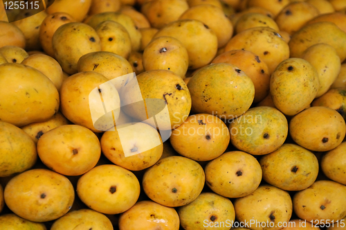 Image of Fresh Mangoes