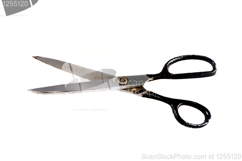 Image of Scissors