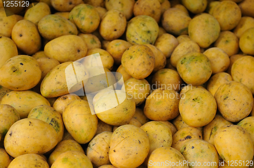 Image of Fresh Mangoes