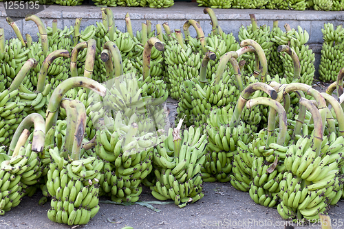 Image of Fresh Bananas