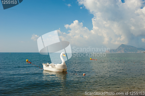 Image of Swan pedal boat