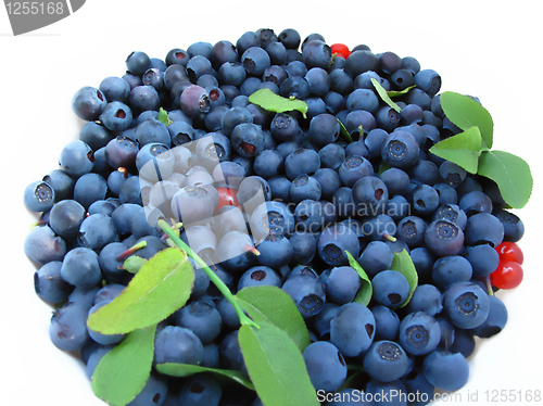 Image of fresh blueberries