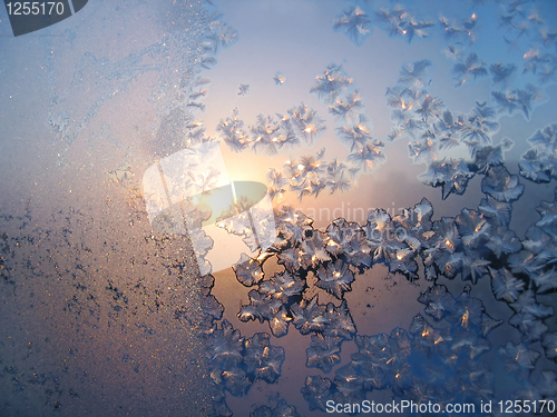 Image of frost and sun