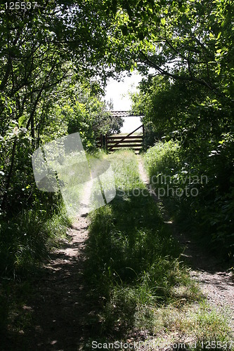 Image of road old