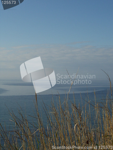 Image of Grass by the sea