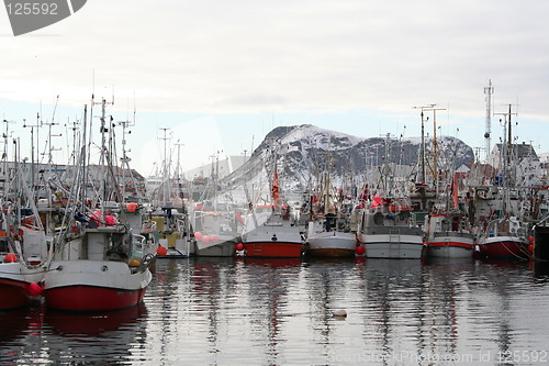 Image of Fishing boats