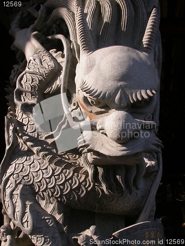 Image of Temple Dragon