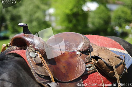 Image of Horse saddle detail