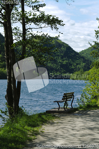 Image of Empty bench on the lake