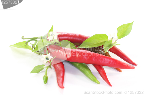 Image of Chilis